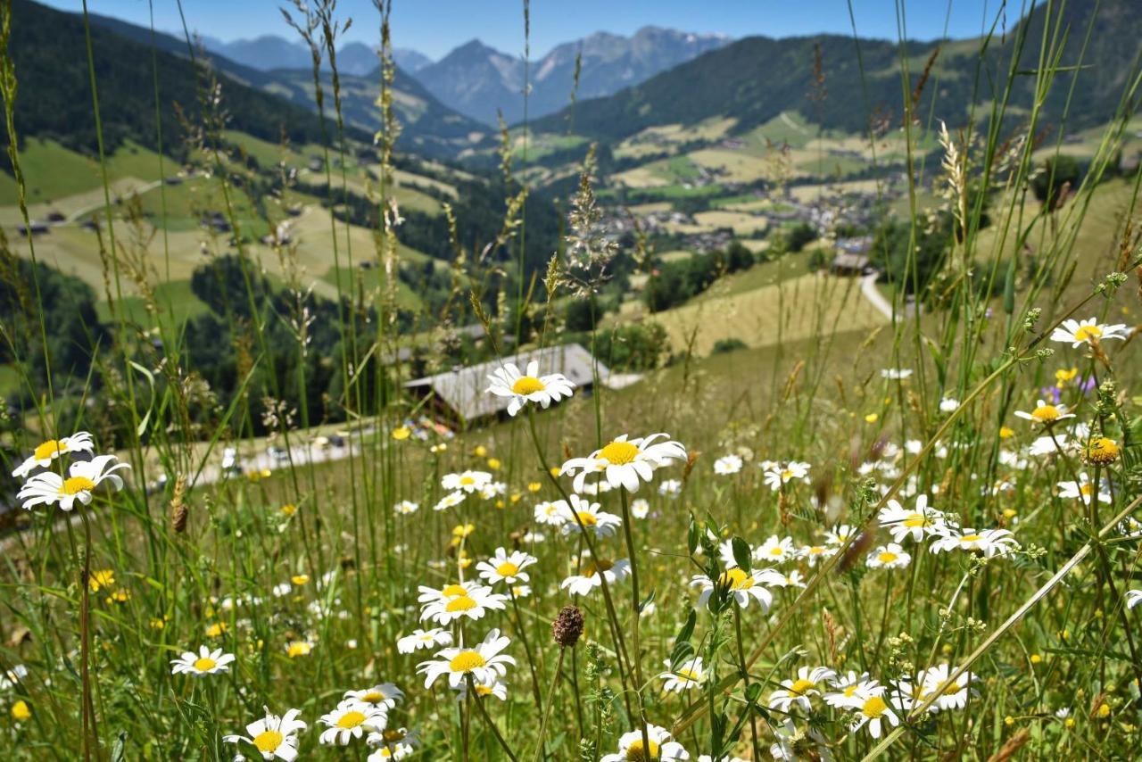 Haus Dorferstuck Alpbach Exterior foto